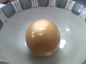 KIMG2317.JPG