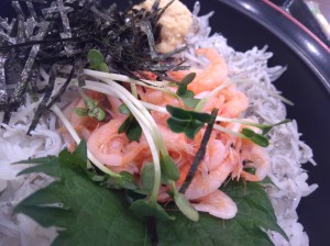 KIMG2584 KIMG2584.JPG